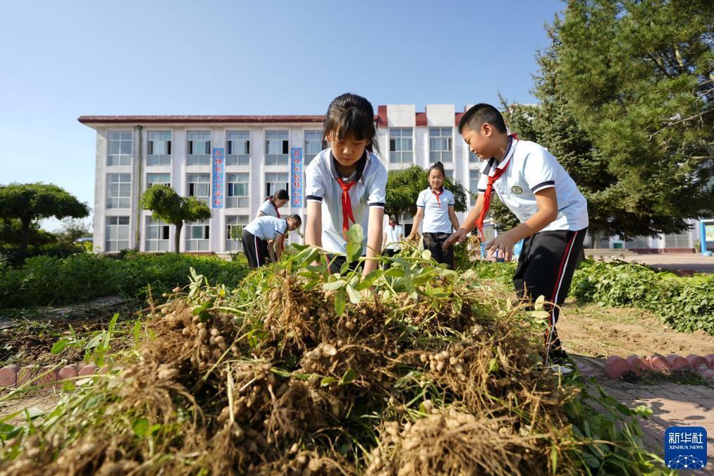 mg线上